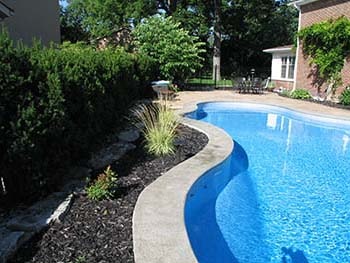 shrubs around pool